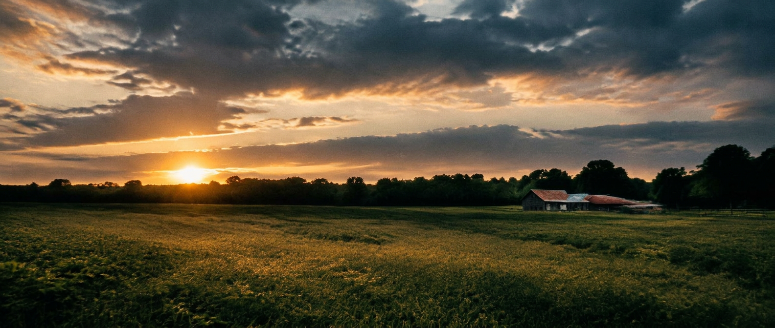 A Sag Harbor farm field at dusk under a dramatic sky